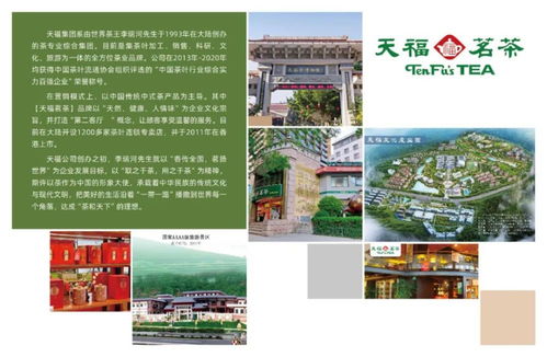 服貿(mào)會臺灣展區(qū)搶先看
