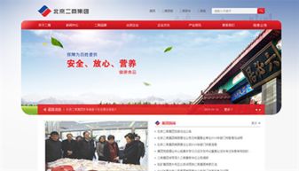 萬戶網絡設計制作的北京二商集團網站